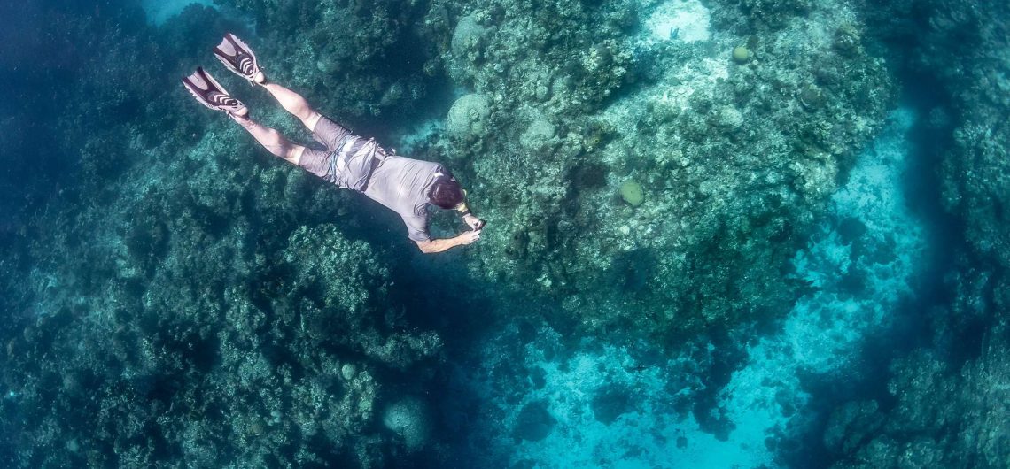 Snorkeler swimming above a colorful coral reef in clear blue water, fins visible on the swimmer's feet.